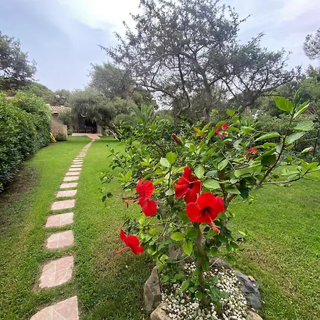 빌라 Residenza Dei Lentischi